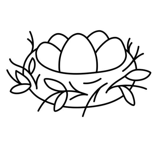 Eggs in Nest Painting Kit